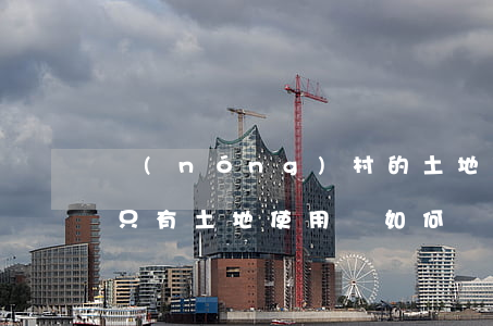 農(nóng)村的土地使用證可以繼承嗎(只有土地使用證如何繼承)