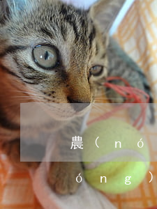 農(nóng)村的房子怎么繼承人(農(nóng)村房子辦繼承的流程)
