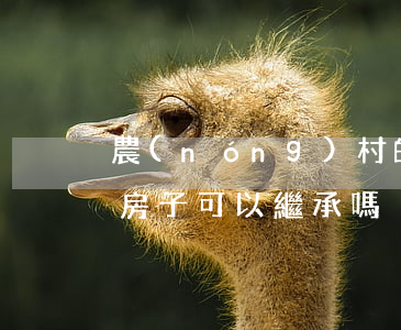 農(nóng)村的房子怎么繼承權(村里的房子可以繼承嗎)