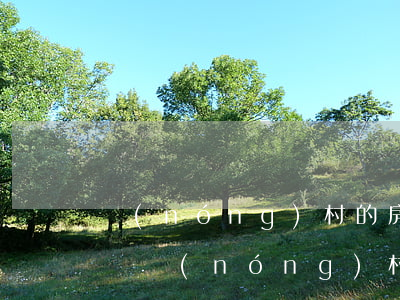 農(nóng)村的房子法院可以查封拍賣嗎(農(nóng)村房屋可以查封拍賣嗎)