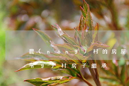 農(nóng)村的房屋怎么繼承(農(nóng)村房子繼承)