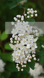 農(nóng)村相親騙子如何追究法律責(zé)任，農(nóng)村相親騙局要判刑嗎