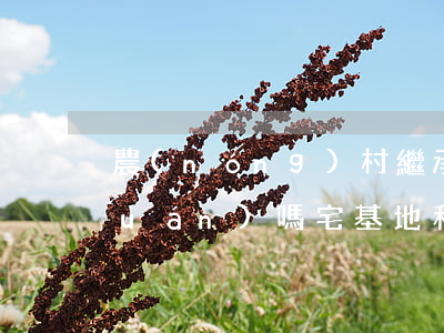 農(nóng)村繼承宅基也可以確權(quán)嗎(宅基地和土地確權(quán)后可以繼承嗎)