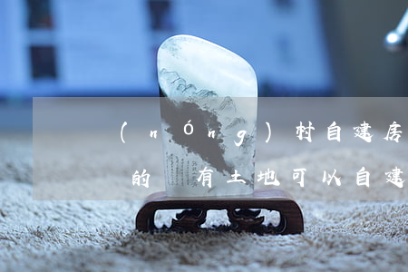 農(nóng)村自建房可以司法拍賣嗎(拍賣的國有土地可以自建房嗎)