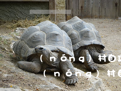 農(nóng)村自建房離婚女方可以分嗎(農(nóng)村自建房離婚女方可以分嗎?子女怎么辦?)