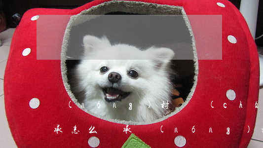 農(nóng)村財產(chǎn)怎么繼承(怎么繼承農(nóng)村的土地)