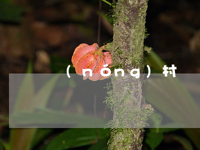 農(nóng)村買賣合同糾紛如何處理