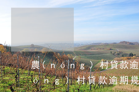 農(nóng)村貸款逾期了怎么辦(農(nóng)村貸款逾期幾天會怎么樣)