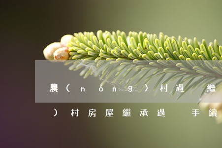 農(nóng)村過戶繼承嗎(農(nóng)村房屋繼承過戶手續(xù)應(yīng)該去哪里辦理)
