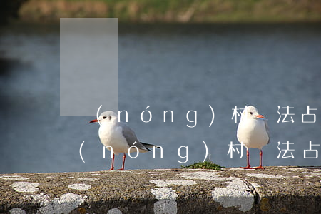 農(nóng)村違法占巷子可以報警嗎(農(nóng)村違法占巷子可以報警嗎)