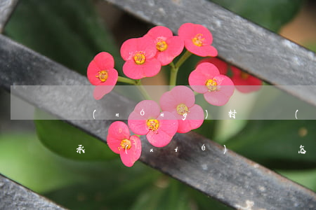農(nóng)村遺產(chǎn)房屋繼承協(xié)議書怎么寫(農(nóng)村土地房屋繼承協(xié)議怎么寫)