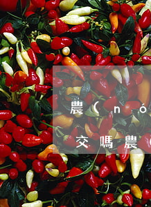 農(nóng)村醫(yī)保逾期可以補交嗎，農(nóng)村醫(yī)保逾期能否補繳？相關政策解析