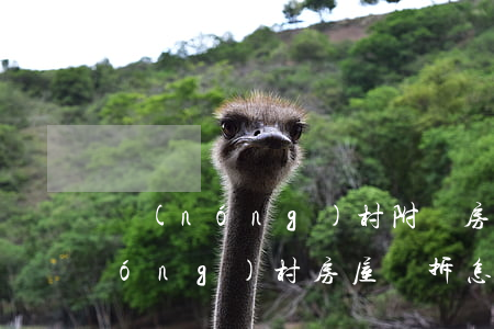 農(nóng)村附屬房可以強拆嗎(農(nóng)村房屋強拆怎么辦)