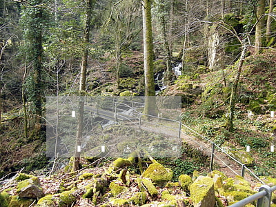 農(nóng)村集體土地可以通過法院判決嗎(法院可以拍賣農(nóng)村集體土地使用權(quán))