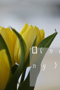 農(nóng)村集體土地繼承嗎(農(nóng)村土地是否可以繼承?)