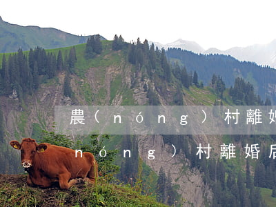 農(nóng)村離婚能分到房子嗎(在農(nóng)村離婚后戶口在一起可以分房子嗎)