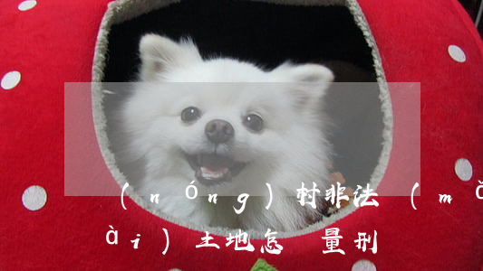 農(nóng)村非法買(mǎi)賣(mài)土地怎樣量刑