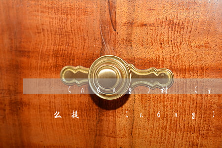 農(nóng)村養(yǎng)老保險怎么提檔(農(nóng)村養(yǎng)老保險提檔辦理流程)