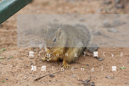 農(nóng)業(yè)信用卡3萬多逾期（農(nóng)業(yè)銀行信用卡5萬額度逾期）