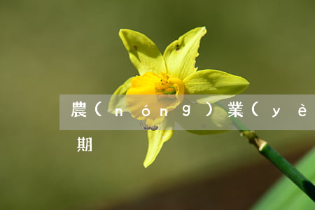 農(nóng)業(yè)信用卡備用金逾期