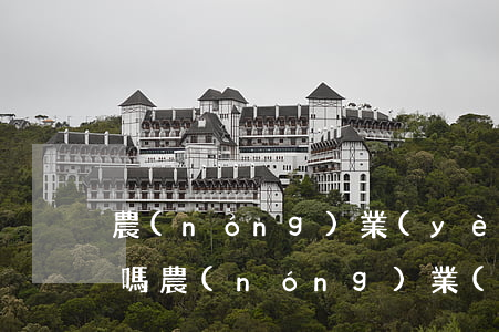 農(nóng)業(yè)信用卡利息最低嗎（農(nóng)業(yè)信用卡利息最低嗎）