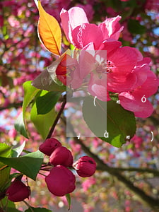 農(nóng)業(yè)信用卡取現(xiàn)逾期(農(nóng)業(yè)信用卡取現(xiàn)逾期怎么辦)