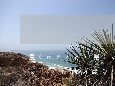 農(nóng)業(yè)信用卡可以協(xié)商嘛(農(nóng)行怎么協(xié)商還款方式)