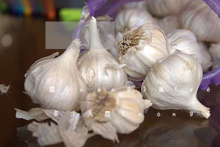 農(nóng)業(yè)信用卡可以逾期多少天(農(nóng)業(yè)信用卡3萬多逾期)