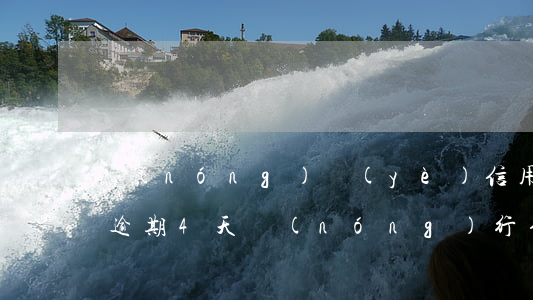 農(nóng)業(yè)信用卡忘記還款逾期4天(農(nóng)行信用卡 逾期一天)