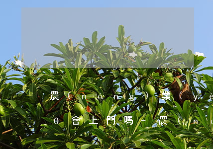 農(nóng)業(yè)信用卡欠5000會上門嗎-農(nóng)業(yè)信用卡欠5000會上門嗎是真的嗎