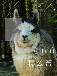農(nóng)業(yè)信用卡空卡透支怎么算