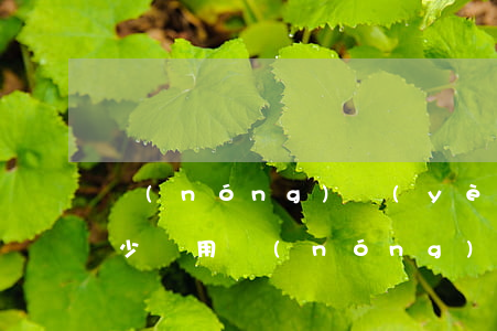 農(nóng)業(yè)信用卡能透支多少費用(農(nóng)信卡可以透支嗎)