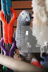 農(nóng)業(yè)信用卡透支利息怎么算(農(nóng)行的信用卡可以透支多少錢?)