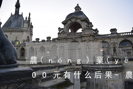 農(nóng)業(yè)信用卡逾期3000元有什么后果-農(nóng)業(yè)信用卡逾期3000元有什么后果嗎
