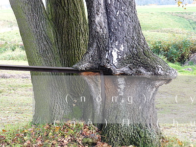 農(nóng)業(yè)信用卡逾期3個(gè)月會(huì)怎么樣(農(nóng)業(yè)銀行的信用卡逾期幾個(gè)月沒(méi)還,銀行會(huì)上門嗎)