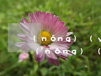 農(nóng)業(yè)信用卡逾期7天 農(nóng)業(yè)信用卡逾期7天會(huì)上征信嗎