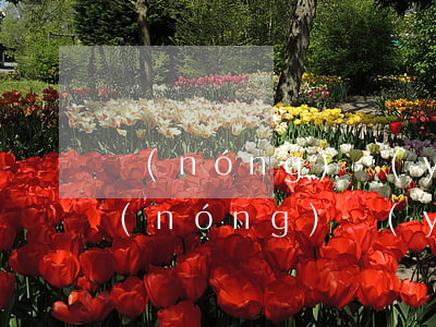 農(nóng)業(yè)信用卡逾期7(農(nóng)業(yè)信用卡逾期多久會起訴)