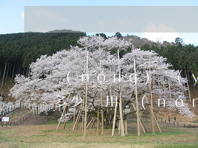 農(nóng)業(yè)信用卡逾期一天多少費用(農(nóng)業(yè)信用卡逾期一天多少費用合適)