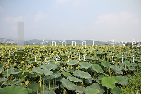 農(nóng)業(yè)信用卡逾期三個(gè)月凍結(jié)(逾期多久凍結(jié)信用卡)