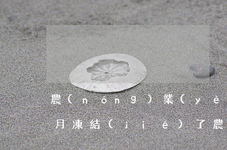 農(nóng)業(yè)信用卡逾期三個月凍結(jié)了(農(nóng)村信用社信用卡逾期半年)