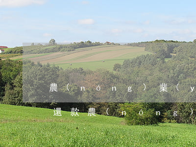 農(nóng)業(yè)信用卡逾期三天還款(農(nóng)商行信用卡還款日期超過三天怎么辦)