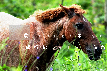 農(nóng)業(yè)信用卡逾期了和銀行協(xié)商 為什么農(nóng)業(yè)信用卡逾期幾個月都起訴了