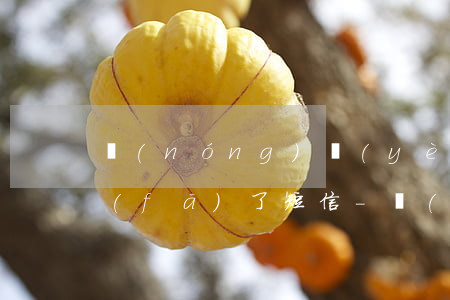 農(nóng)業(yè)信用卡逾期了發(fā)了短信-農(nóng)商銀行信用卡逾期