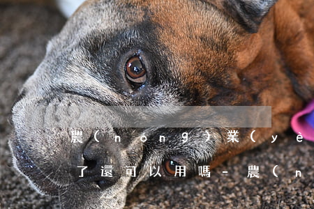 農(nóng)業(yè)信用卡逾期了還了還可以用嗎-農(nóng)業(yè)信用卡逾期了還了還可以用嗎