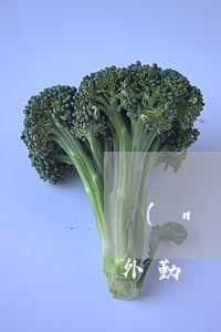 農(nóng)業(yè)信用卡逾期交給外勤