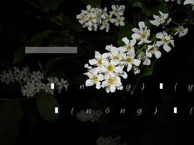 農(nóng)業(yè)信用卡逾期利息(農(nóng)業(yè)信用卡逾期利息會(huì)不會(huì)高)