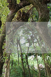 農(nóng)業(yè)信用卡逾期后不讓用了(農(nóng)業(yè)信用卡逾期后不讓用了)