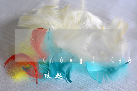農(nóng)業(yè)信用卡逾期多久會被起訴