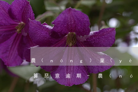 農(nóng)業(yè)信用卡逾期幾次算惡意逾期-農(nóng)業(yè)信用卡逾期幾次算惡意逾期嗎