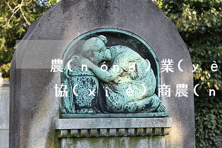 農(nóng)業(yè)信用卡逾期怎樣協(xié)商(農(nóng)業(yè)信用卡逾期了半年了)